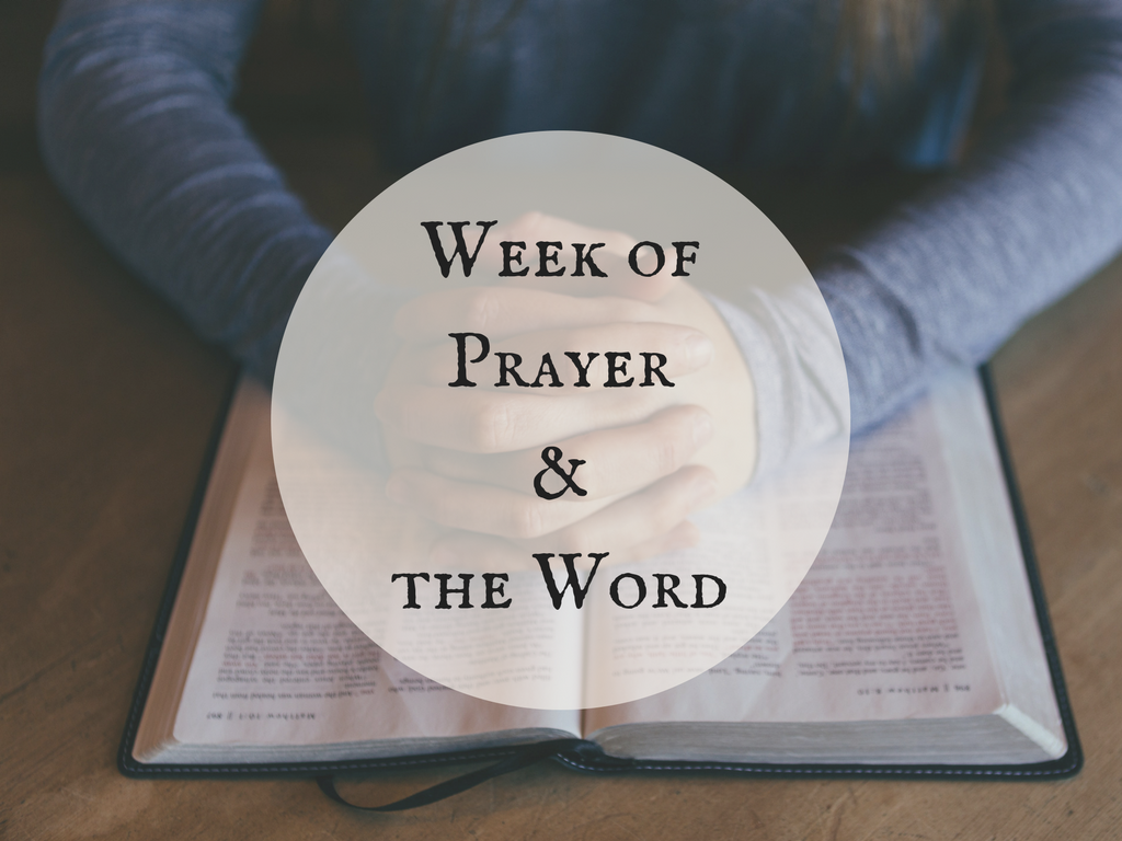 God's Word Is A Lamp And Light